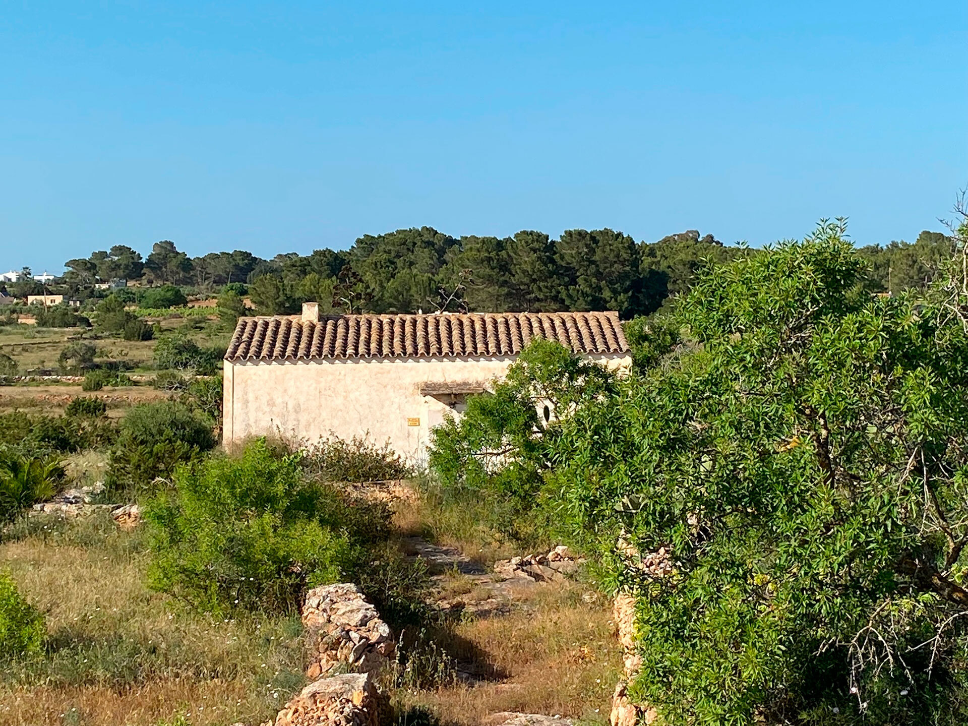 casa rustica in vendita