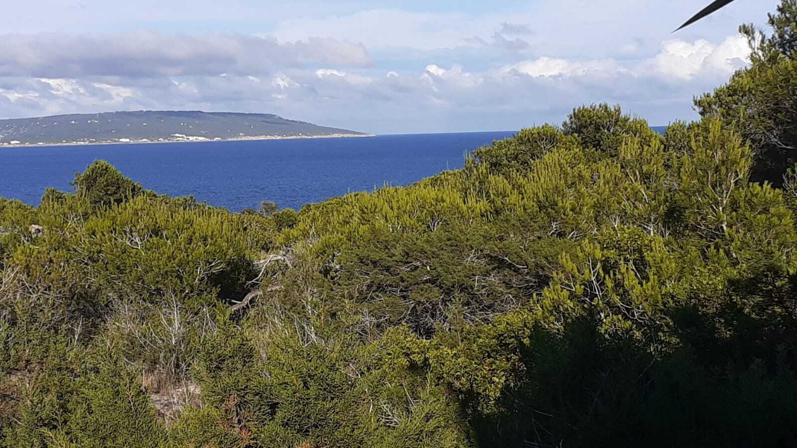 Formentera Vista Mar